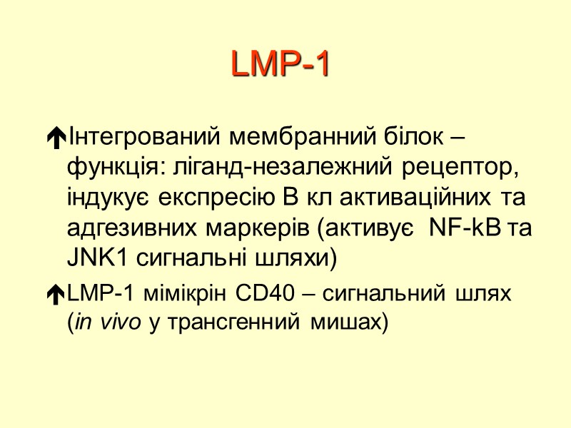 LMP-1 Інтегрований мембранний білок – функція: ліганд-незалежний рецептор, індукує експресію В кл активаційних та
